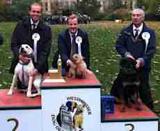 David Burrowes MP at a three party dog competition